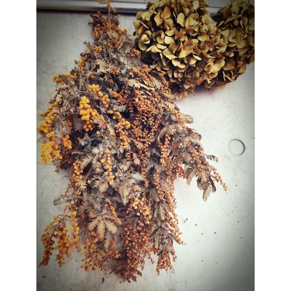 平日限定【白髪の気になる方】大人color　　　  #西早稲田