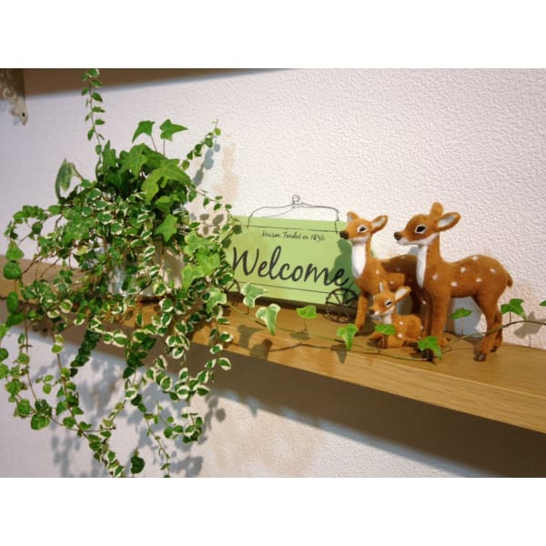 【ツヤ髪コース】グレイカラー+カット+トリートメント