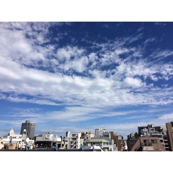 stylist高橋担当＊当日髪型をご相談されたい方はこちらをご利用下さい＊