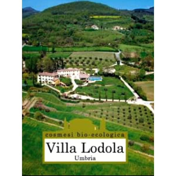 カット＋VillaLodoraヘッドスパ＋炭酸マッサージシャンプー