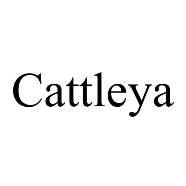 エステティックサロン Cattleya