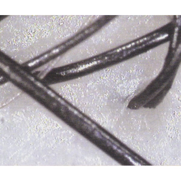 初回のお客様に限りCUT+頭皮判断&スキャルプシャンプーをサービス!