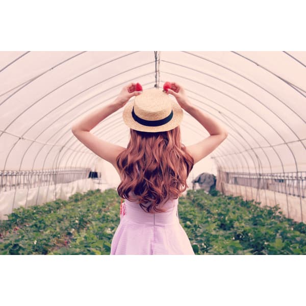 NEW!【パーマPlan】カット＋ハホニコパーマ