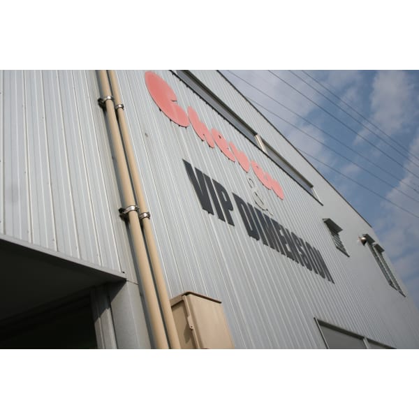 リーフ・ウェーブ（カット・ブロー込）