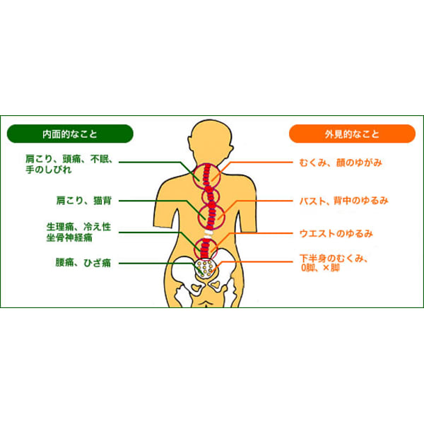 【Rakuten BEAUTY限定】カイロプラクティック