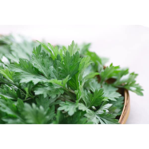 【背面】よもぎ蒸し（30分）＋オイルトリートメント（60分）※ネット予約限定