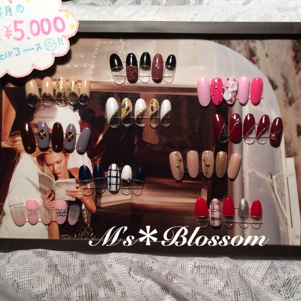 【月替わり旬デザイン】選べる定額コース