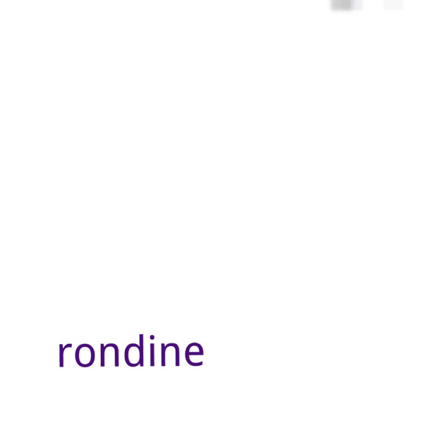 rondine
