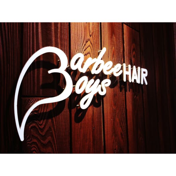 Barbee Boys HAIR