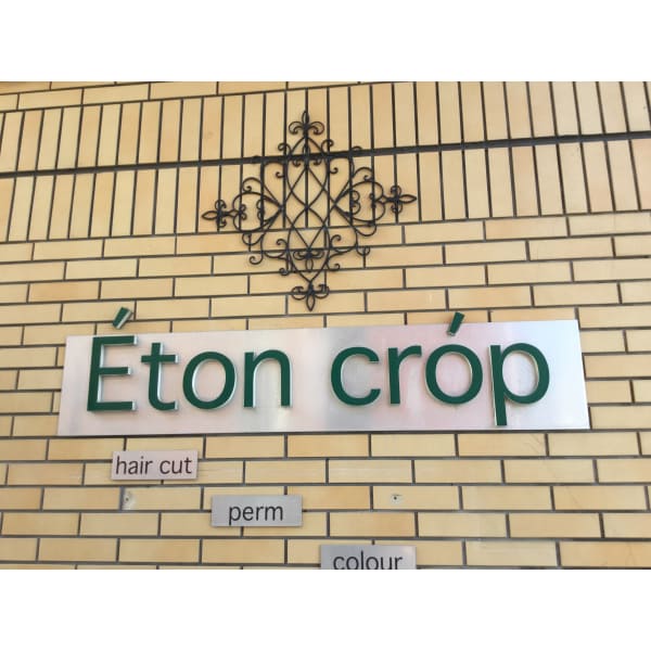 Eton crop