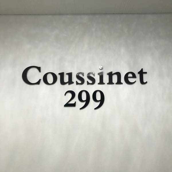 Coussinet 299