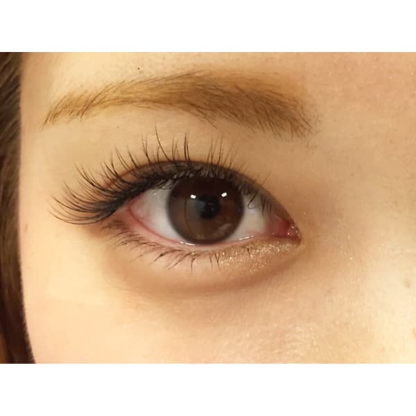 最高級セーブル★120本★+無料オフ込