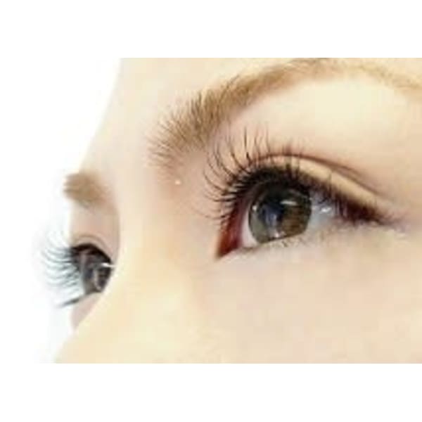 最高級セーブル★80本★+無料オフ込み