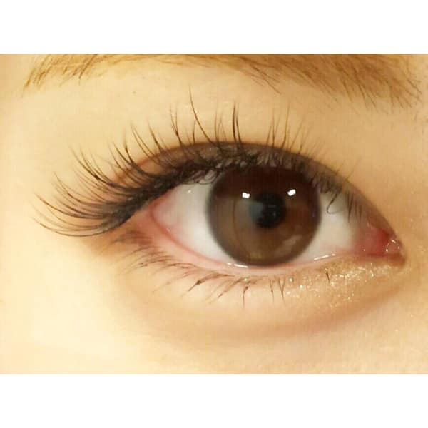 最高級セーブル★120本★+無料オフ込