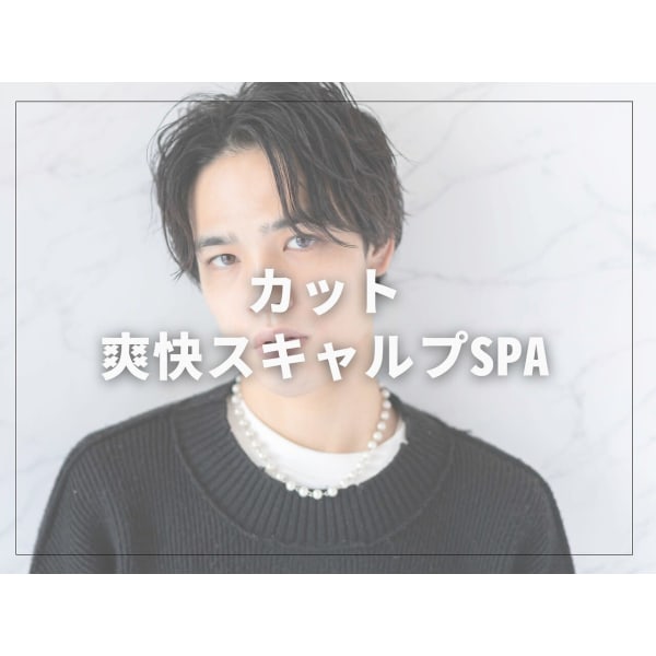 【超お得な限定クーポン】 カット+ハホニコトリートメント ¥5980