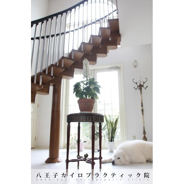 健康と美を追求♪【全身を改善◇小顔&骨盤矯正】+姿勢指導¥6600