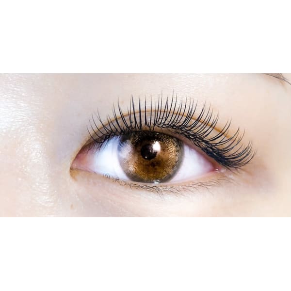 ★オプション★フラットラッシュ 通常メニュ=+1000円で変更できます。