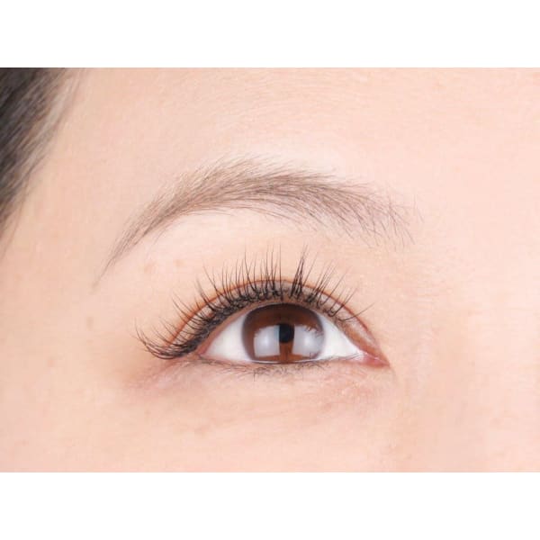 初回セーブル80本