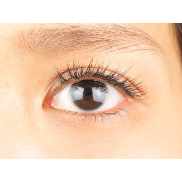 初回セーブル120〜140本