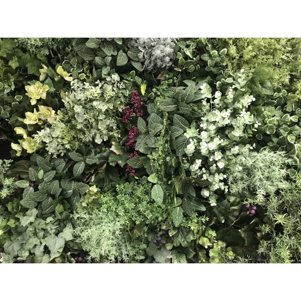 【迷ったらコチラ】 最適なメニューを担当とご相談☆