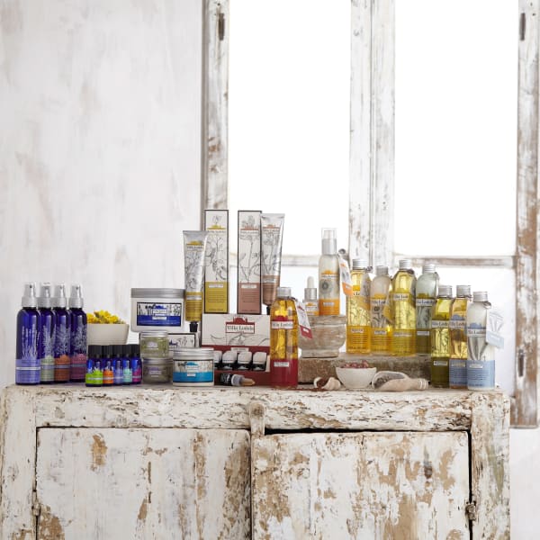 新規の方限定! カット&リタッチカラー&トリートメントコース