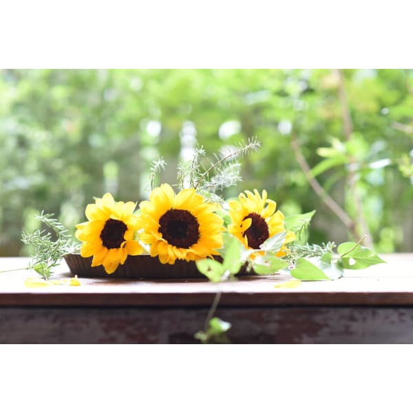 【人気NO．1】 似合わせカット＋THROWカラー ￥11550→￥9250