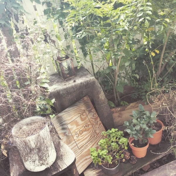 【平日限定】【クセのお悩み】 髪質改善ストレート＋カット ￥15950→￥12800