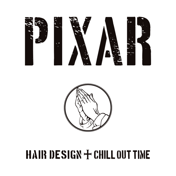 PIXAR HAIR DESIGN