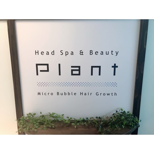 Headspa Beauty Plant ヘッドスパアンドビュティー プラント の予約 サロン情報 美容院 美容室を予約するなら楽天ビューティ
