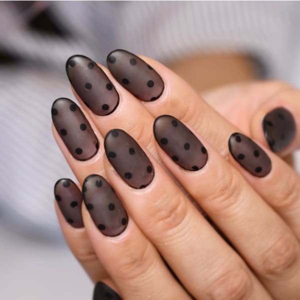 シアードット