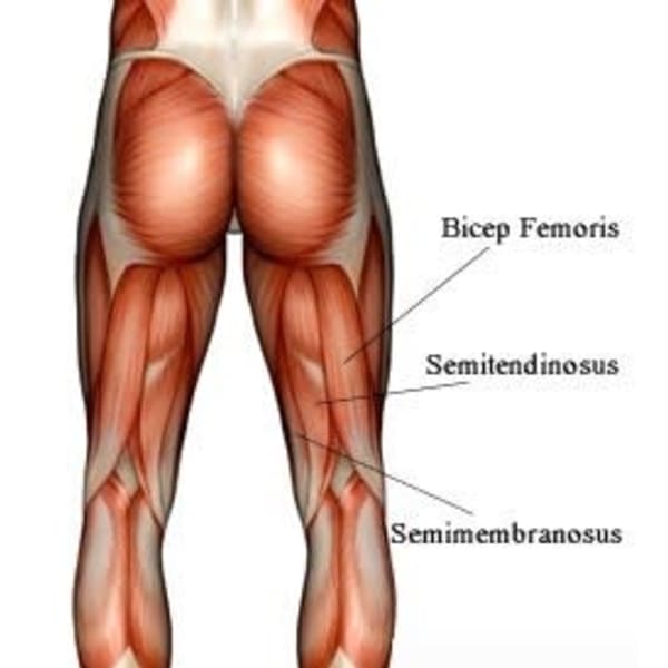【院長おすすめ!骨格矯正60分】慢性腰痛も有り猫背矯正も気になり、全身の調整をしてもらいたい方に人気