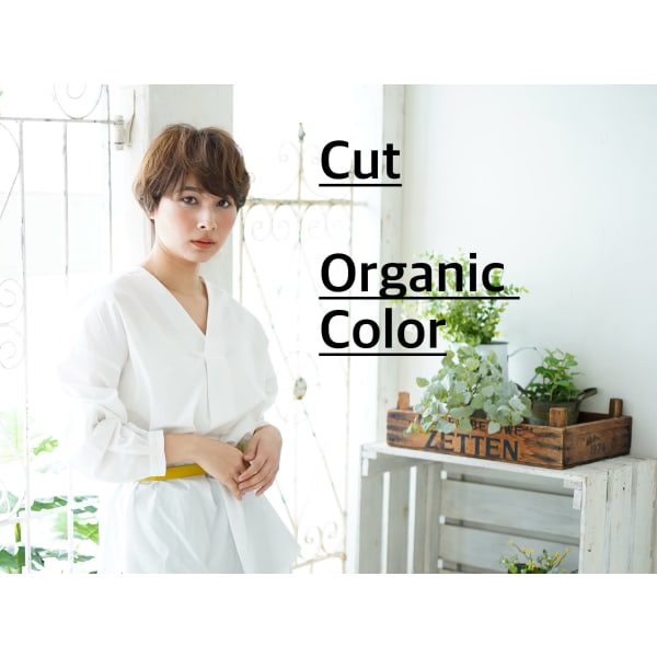 （平日午後限定！）【今月のみ！得割】カット＋低刺激オーガニックカラー■マイクロバブル「マーブ」使用