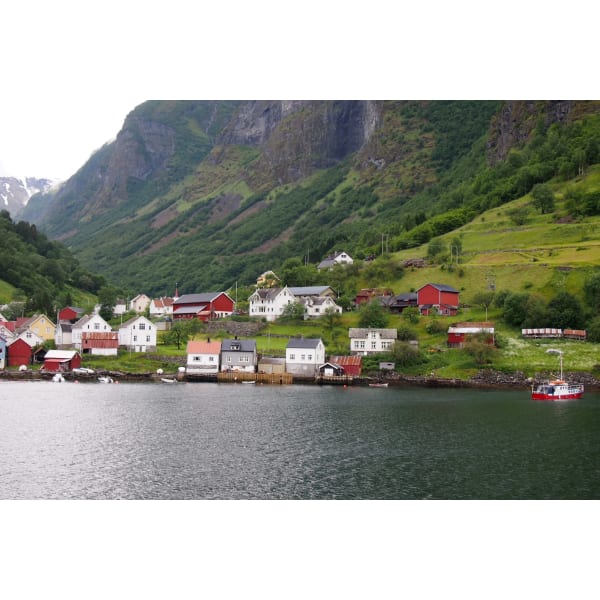 【頭皮に優しいオーガニックの白髪染め】カット+オーガニックカラー+炭酸泉