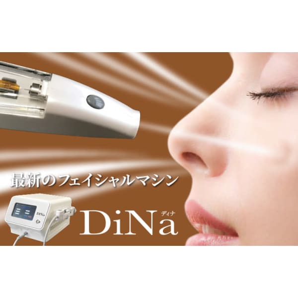 リピーター続出！高濃度美溶液を肌奥深く届けて　即効うるおい肌【 DiNa（ディナ）】