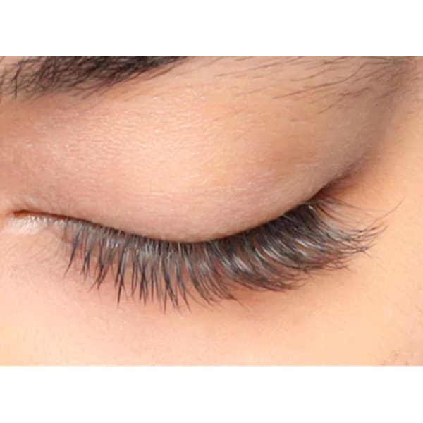 New☆新色ハーバルブラウン&ブルーブラック☆抜け感の新色☆スマート抗菌ラッシュ:100本