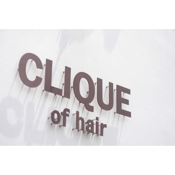 CLIQUE of hair