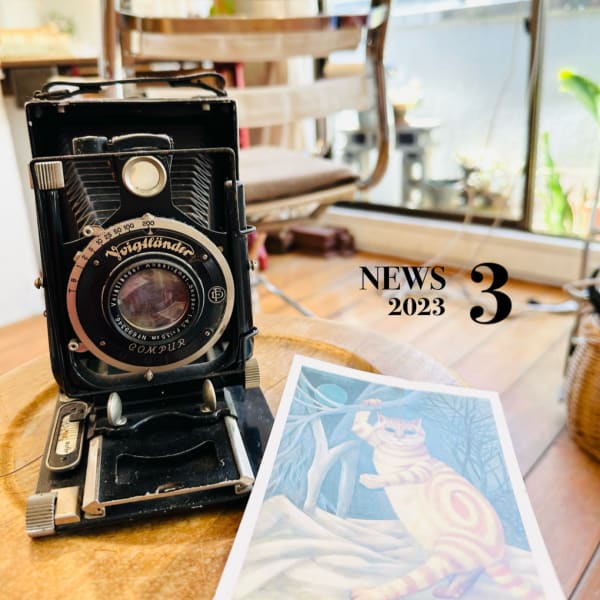 クレンジングスパカット