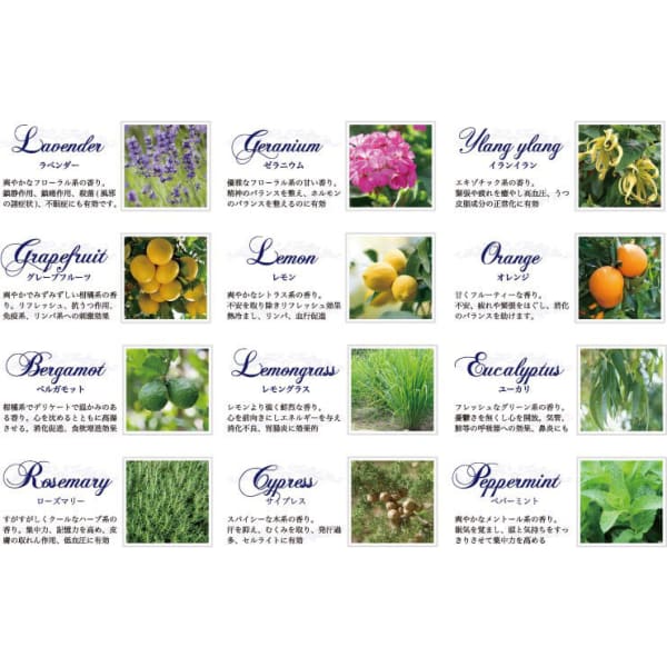 【初回限定】アロマスパ + カット (シャンプー料金別) 9130円→7909円