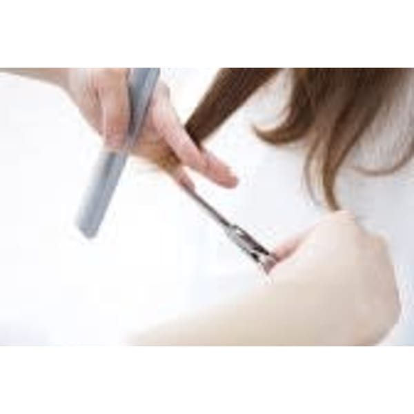 レディスカット