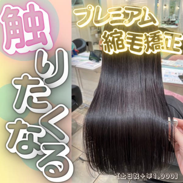 平日限定【触りたくなる】2ポイントカット+プレミアム縮毛矯正土日祝+1,000