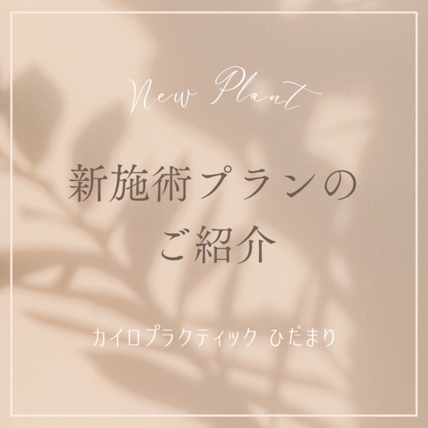 【特別】トータルケアプラン