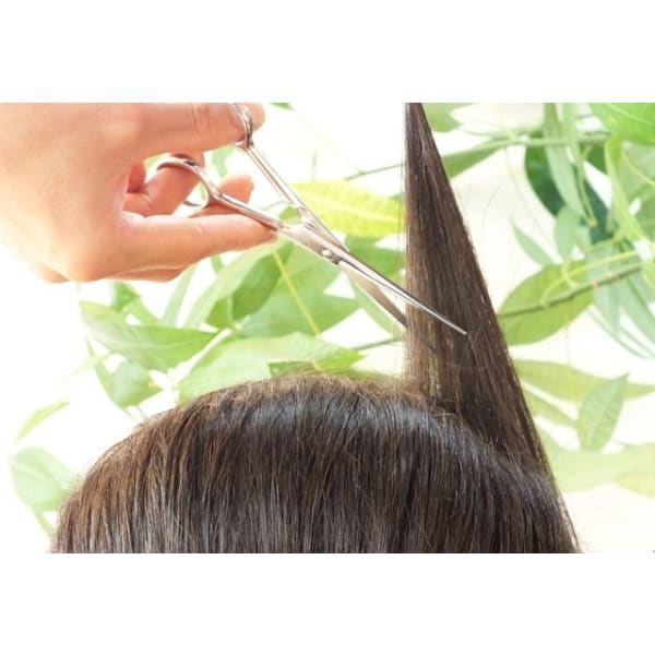 カット+美肌＆頭皮診断　6600→4,980円