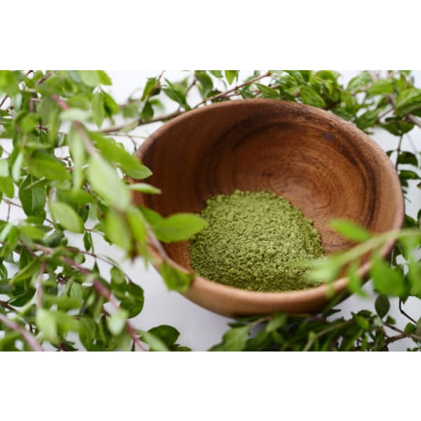 ≪髪のボリュームが気になる方≫カット・ヘナカラー