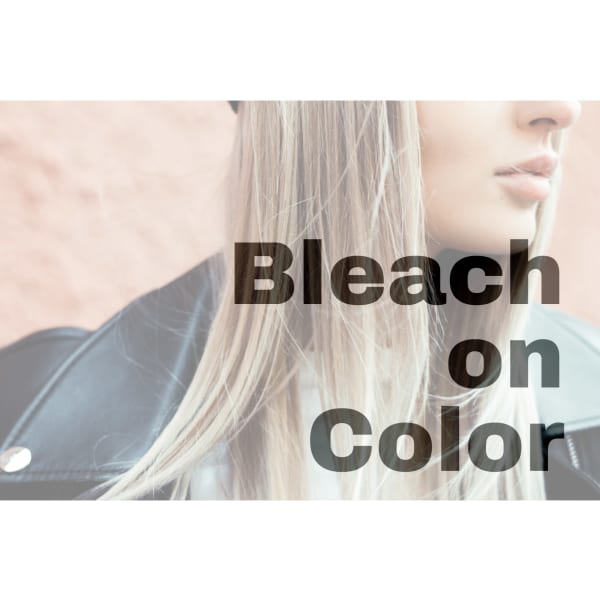 【ブリーチダブルカラー】ブリーチ/インナーブリーチ/白髪ぼかし+艶カラー