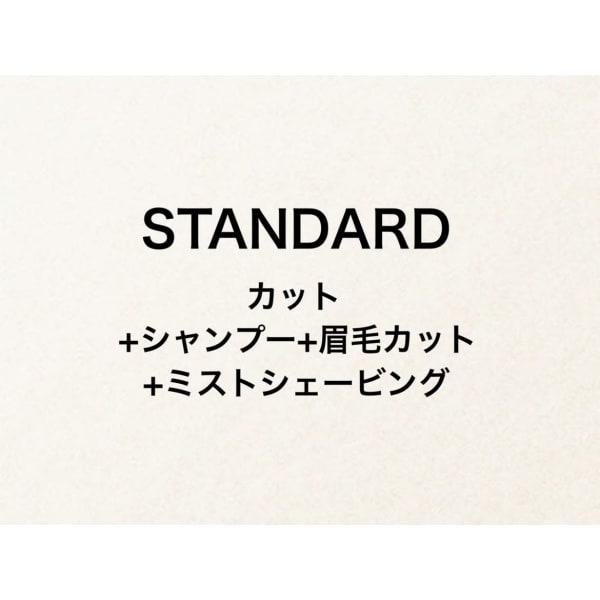 【STANDARD】メンズカット(シャンプー付)+ミストSV(シェービング) 8800⇒7500円