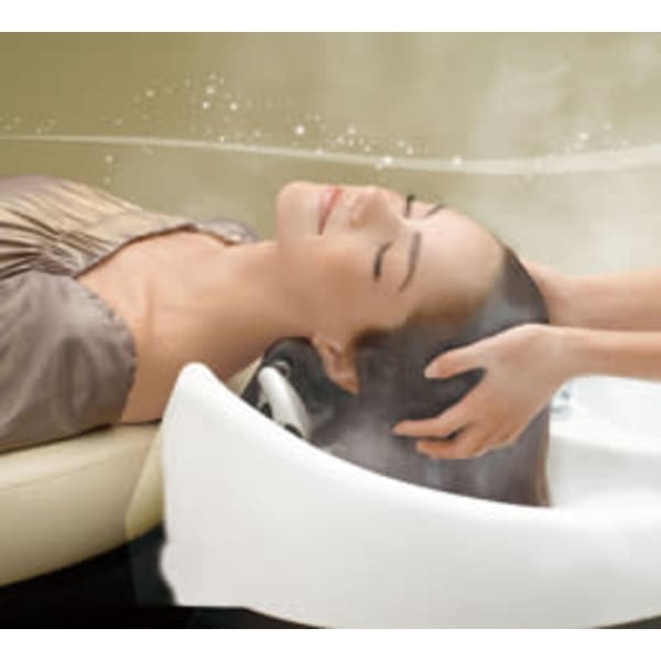 【アロマミストヘッドSPA】＋カット+極上トリートメント＋たっぷり潤いスチーム