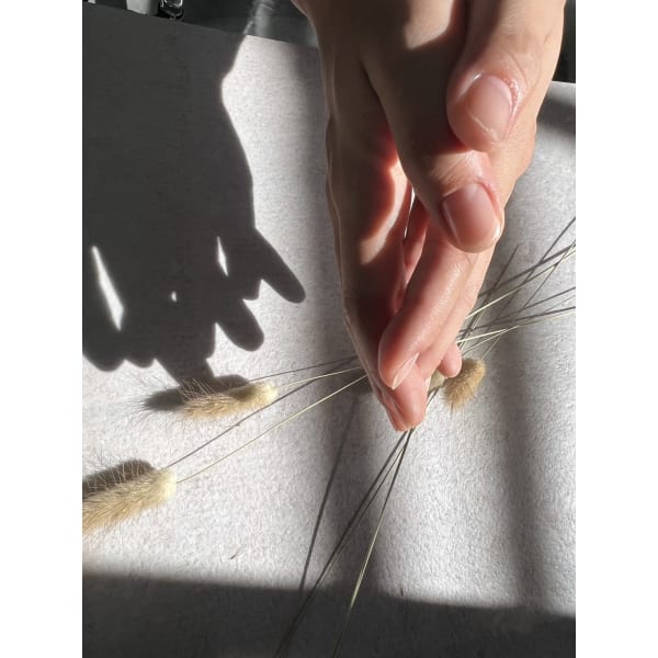 【全員】美爪育成☆プレミアムハンドケアコース ￥5,500