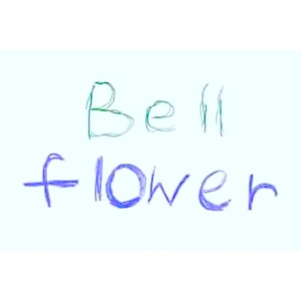 Hair salon Bell flower