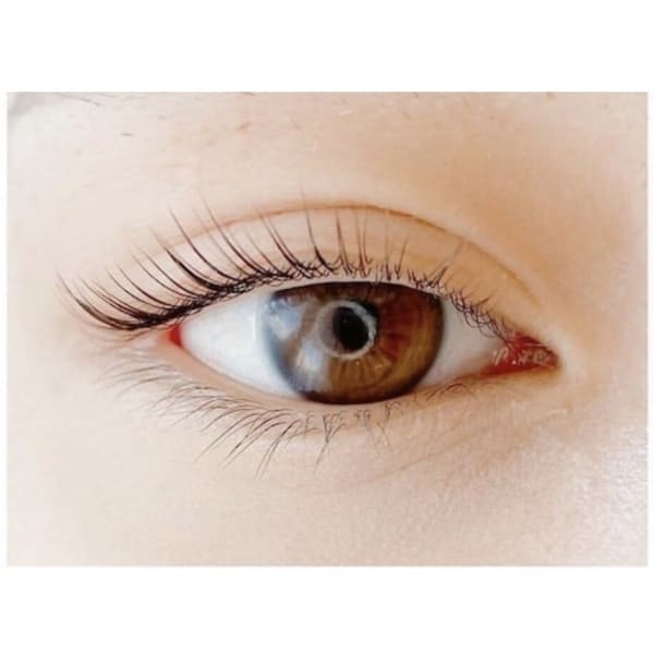 【上下TR付き】パリジェンヌ含むラッシュリフト(上) ＋(下)ラッシュリフト