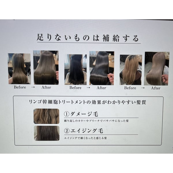 『”幹細胞使用”髪質改善』カット+カラー+リンゴ幹細胞リセットTr¥15000